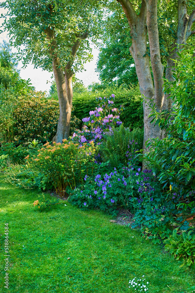 Vibrant garden with trees, flowers and lawn with green grass growing in a peaceful backyard. Beautif
