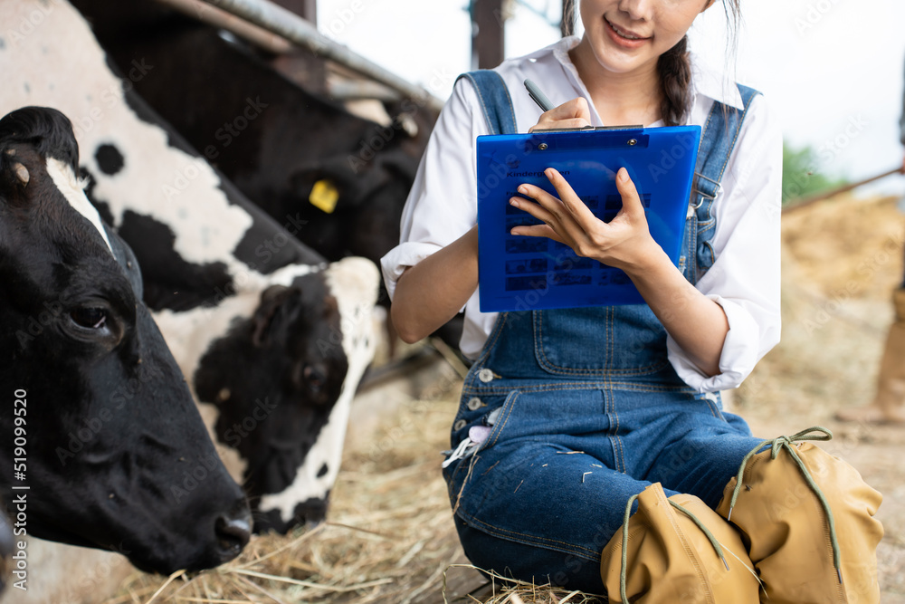 Attractive Asian dairy farmer woman working at livestock farm industry
