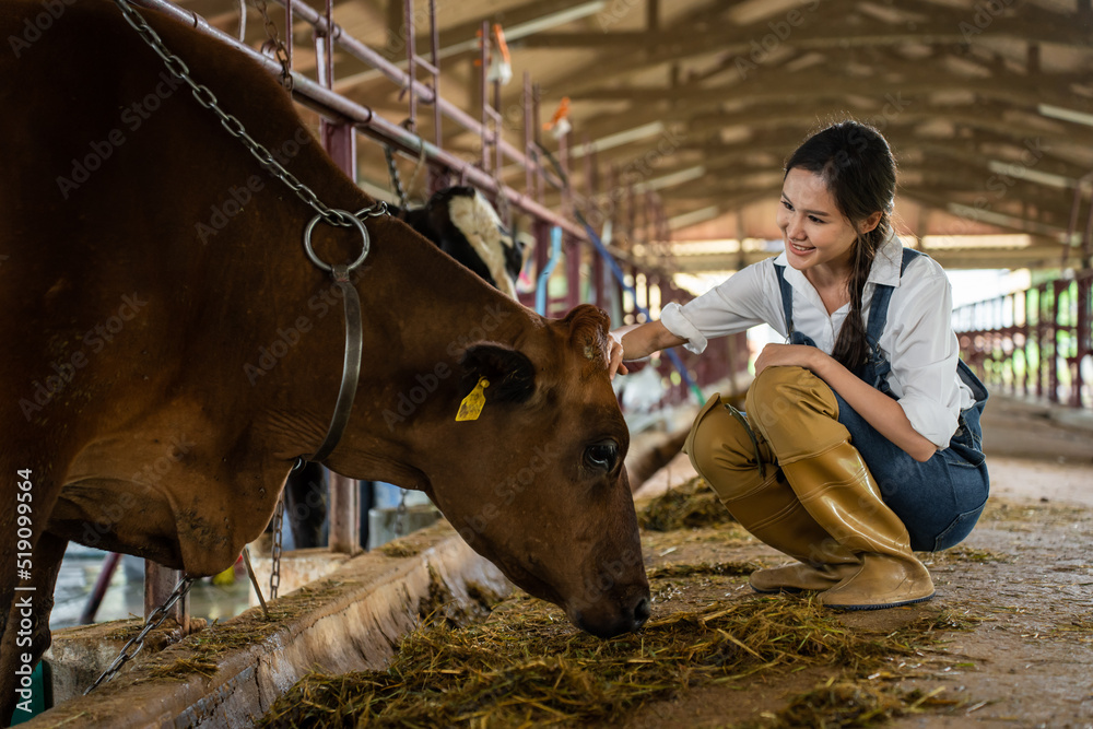 在畜牧业工作的有魅力的亚洲奶农女性