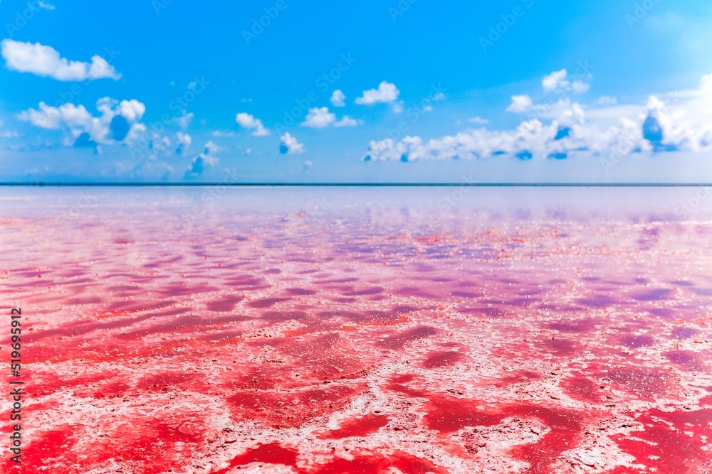 美丽的红色泻湖或盐湖，粉红色的海水富含矿物质