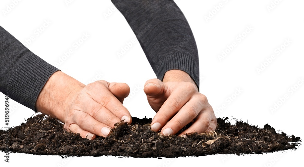 手中的土壤用于检查质量，播种前的土壤质量。农业概念。技术