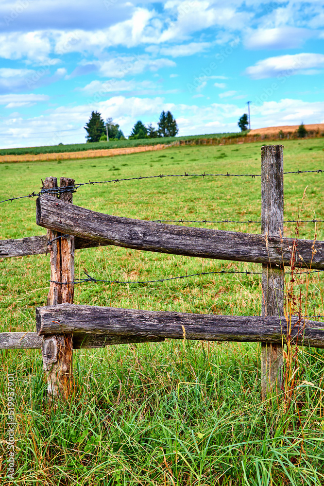 美丽的天然绿色农田，铁丝网木栅栏周围长满了草。景观