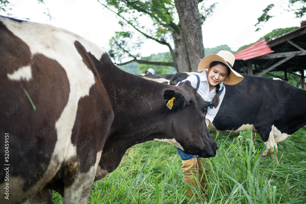 在畜牧业工作的亚洲有魅力的奶农女性