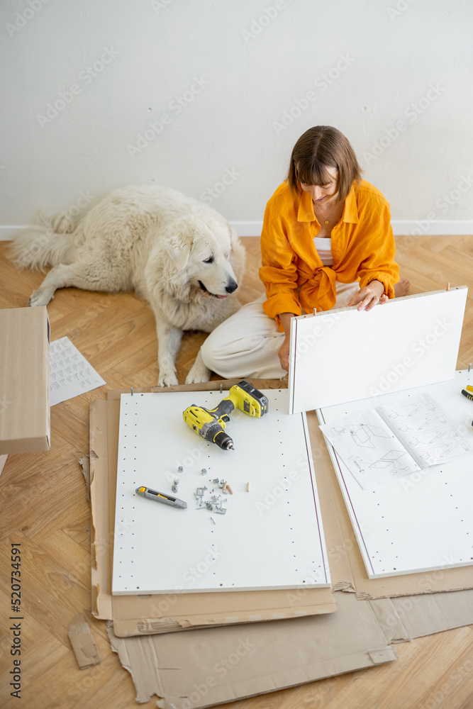 年轻女子自己组装家具，坐在新公寓里和她的可爱小狗玩得很开心
