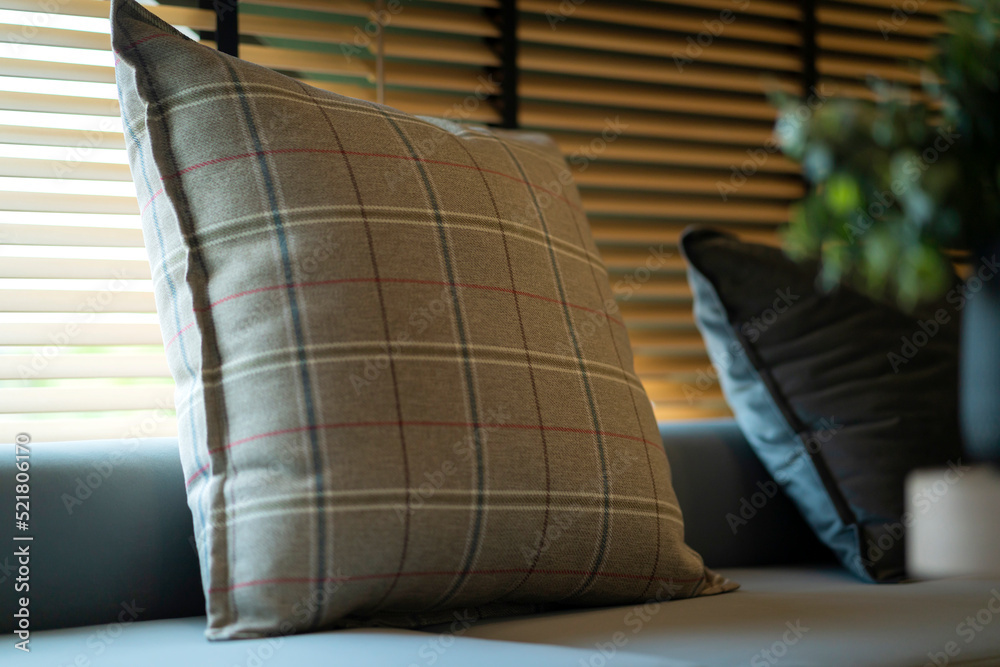 客厅沙发沙发垫枕图案布置家居理念室内理念