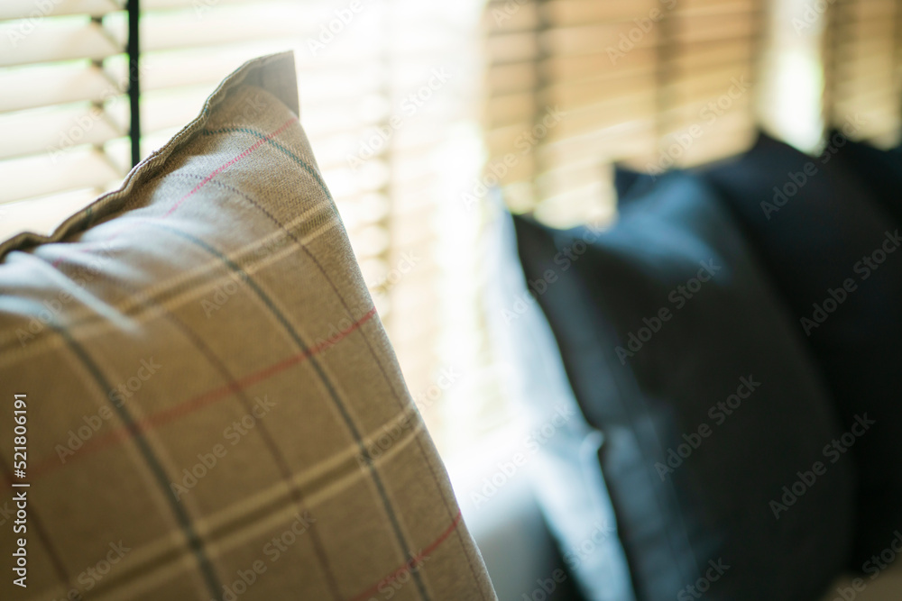客厅沙发沙发垫枕图案布置家居理念室内理念，