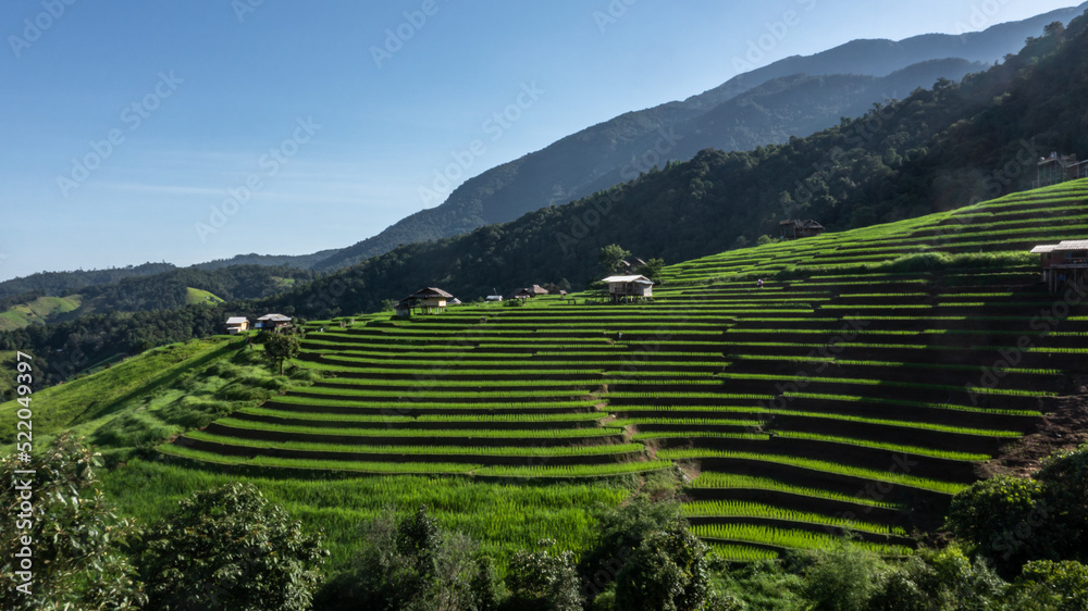 Rice fields on terraced of Ban Pa Bong Paing, Chiang Mai, Thailand, Beautiful scenery of the terrace