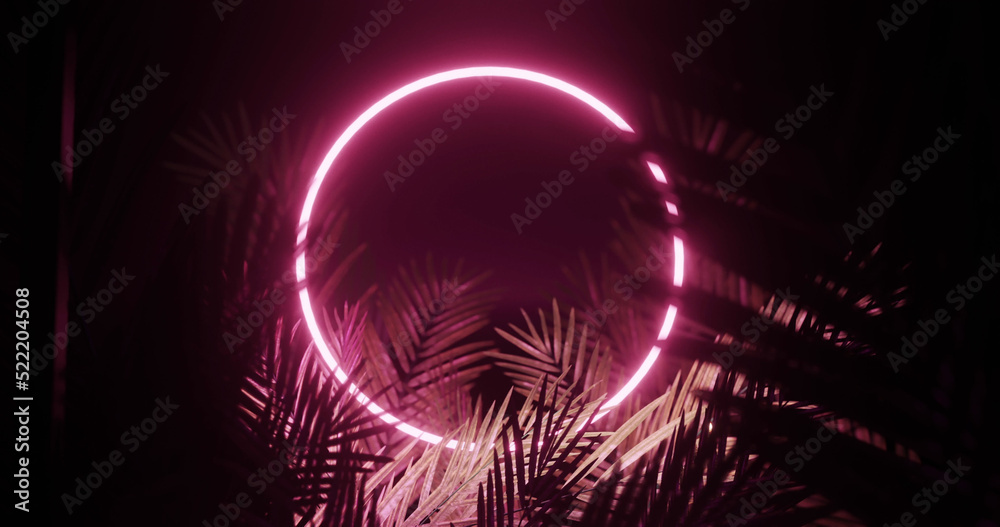 黑色背景上粉红色霓虹灯圆圈上的树叶图像