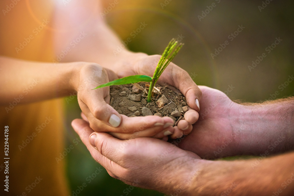 Caring people holding in hands a seed, plant and soil growth for environmental awareness conservatio