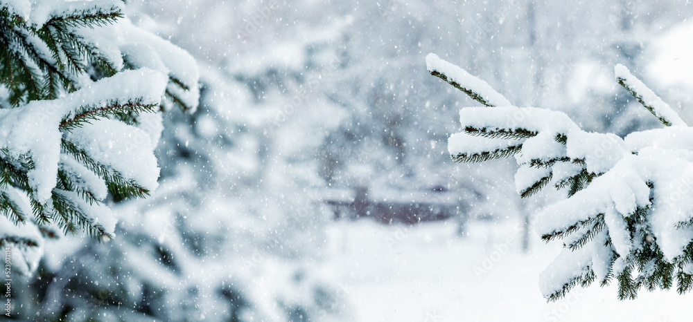 降雪期间，冬季公园里的冷杉树被雪覆盖。圣诞和新年贺卡