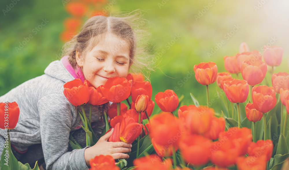 可爱的女孩在花园里采摘红色郁金香。