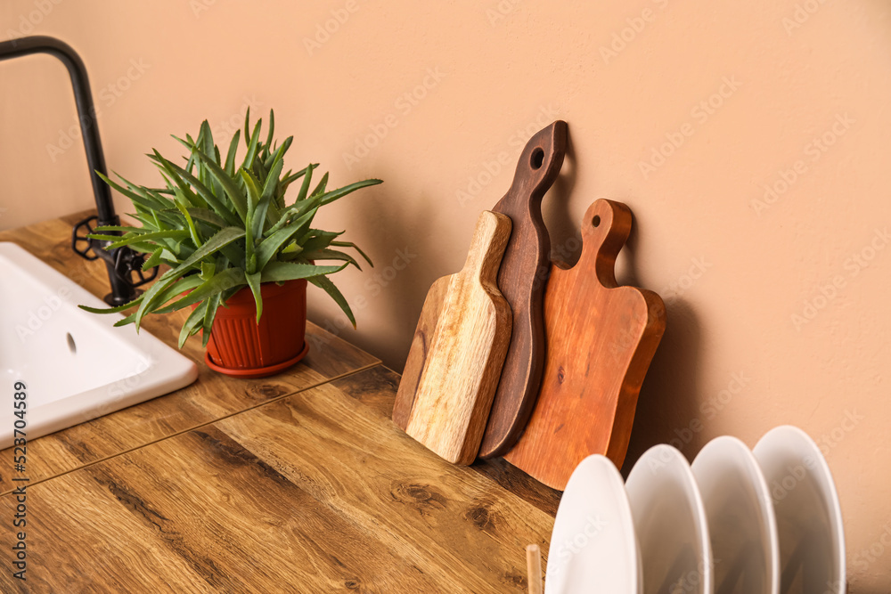 砧板、花盆里的芦荟和米色墙壁附近柜台上的盘子