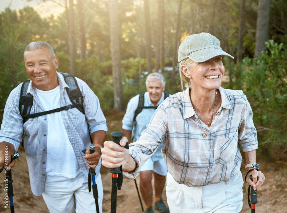 徒步旅行退休人员、老年人和老年朋友或游客在森林或山区健身、健康和
1808180678,红翅黑鸟
