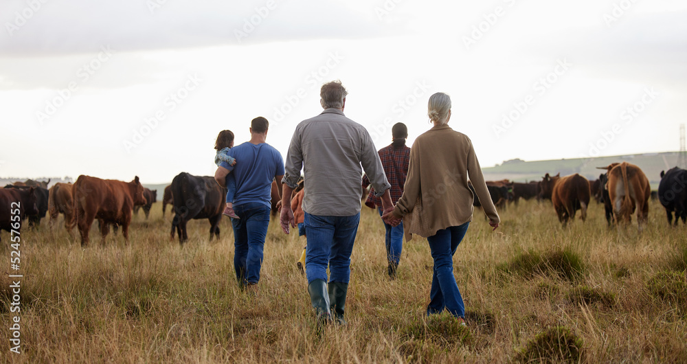农场、乡村和家庭，大自然中的农田、草地上有奶牛。农民的母亲、父亲和
