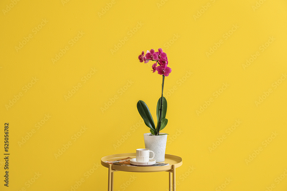 Orchid flower, cup of coffee and magazine on table near yellow wall
