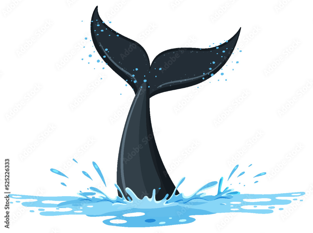 水中的鲸鱼尾巴