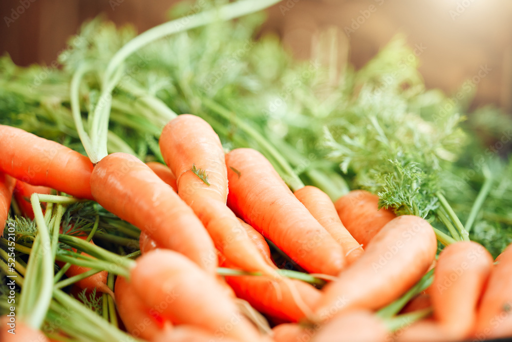 来自自然、农业和可持续发展花园的胡萝卜、健康食品和蔬菜的背景