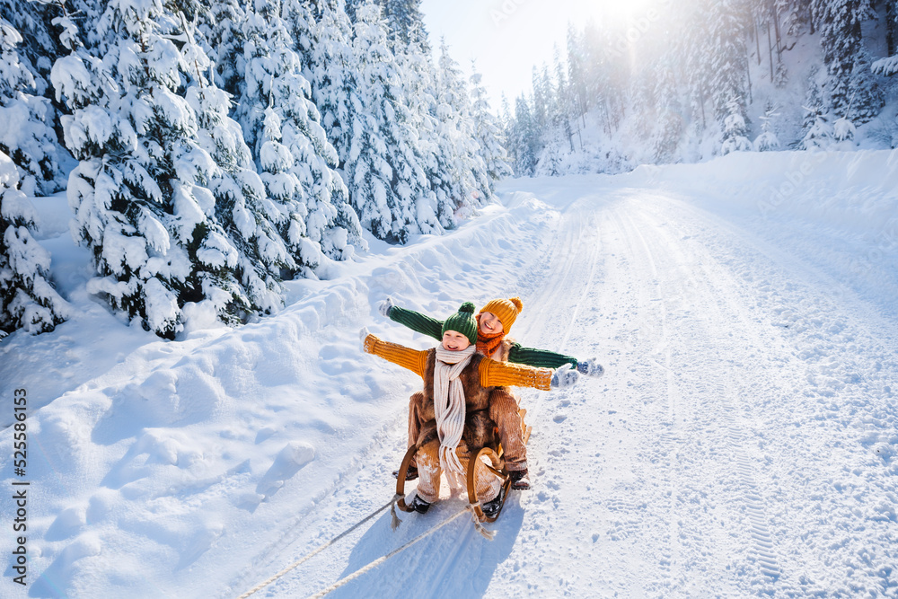 快乐有趣的孩子们在雪地路上骑着复古的木制雪橇。一家人在冬天散步。