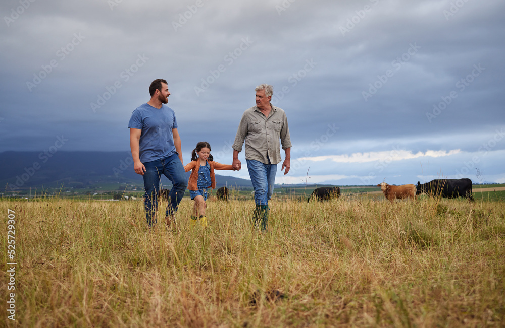 农民家庭走在牛或畜牧场上，一起教学。一代又一代