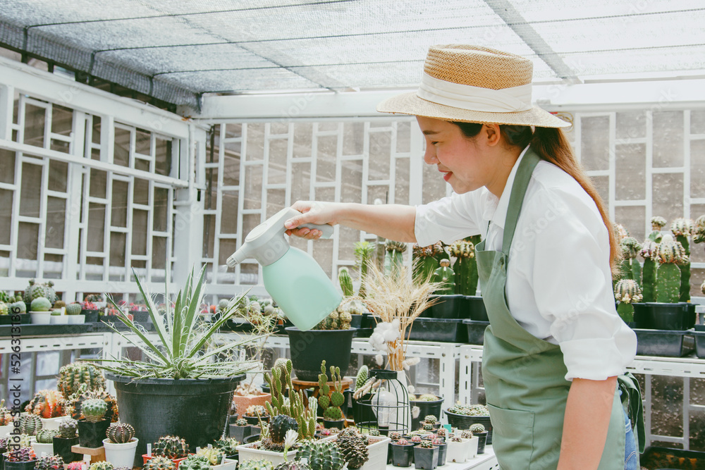 年轻的亚洲女性中小企业小企业企业家在仙人掌农场浇花
