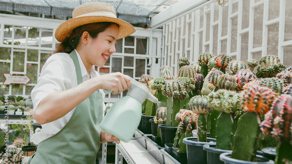 年轻的亚洲女性中小企业小企业企业家在仙人掌农场浇花