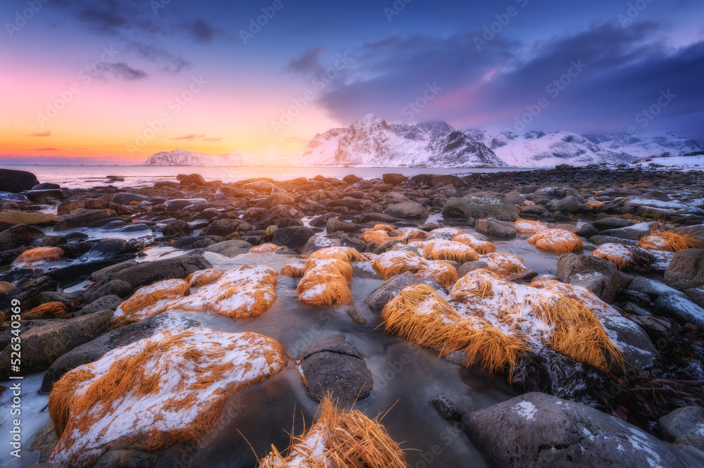 海滩上的冰上有黄色草的石头，雪山，大海，冬天日出时的五颜六色的天空