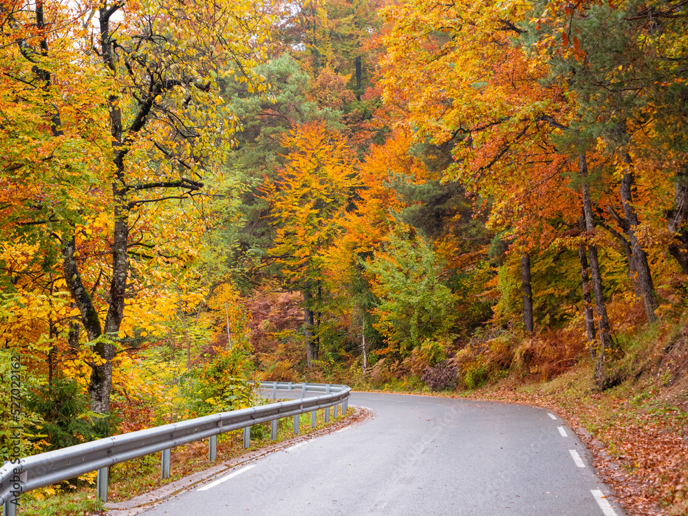 秋天，蜿蜒曲折的蜿蜒曲折的公路蜿蜒穿过五颜六色的森林
