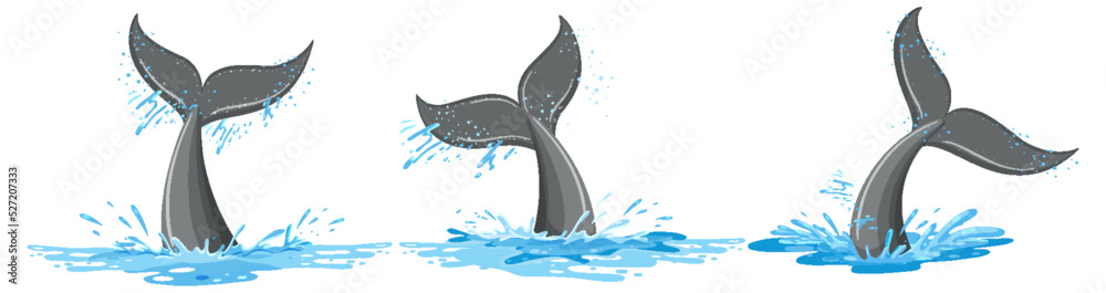 水中鲸鱼的不同尾巴