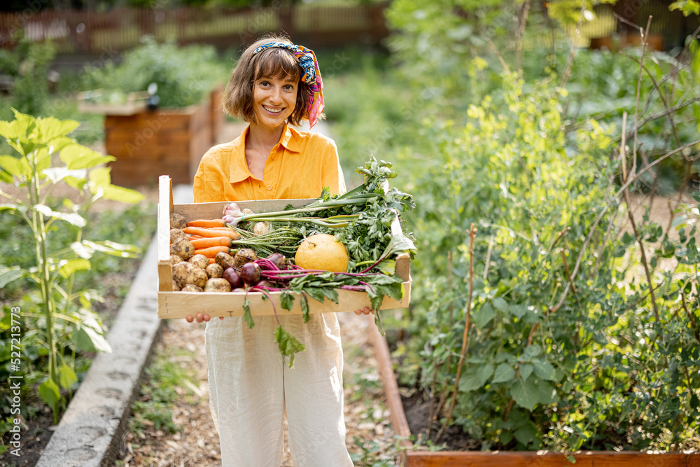 年轻快乐的女人拿着装满新鲜采摘的蔬菜的盒子站在家里的花园里的肖像