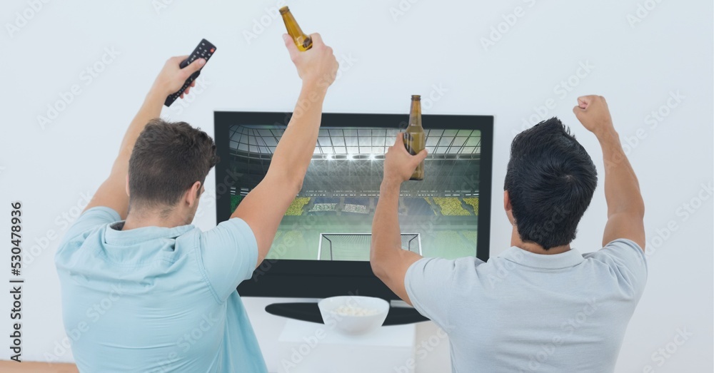 两名男性体育迷在电视上观看体育场的构成