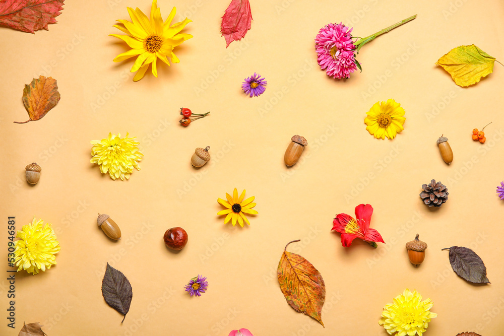 天然森林装饰和彩色背景花卉的组合