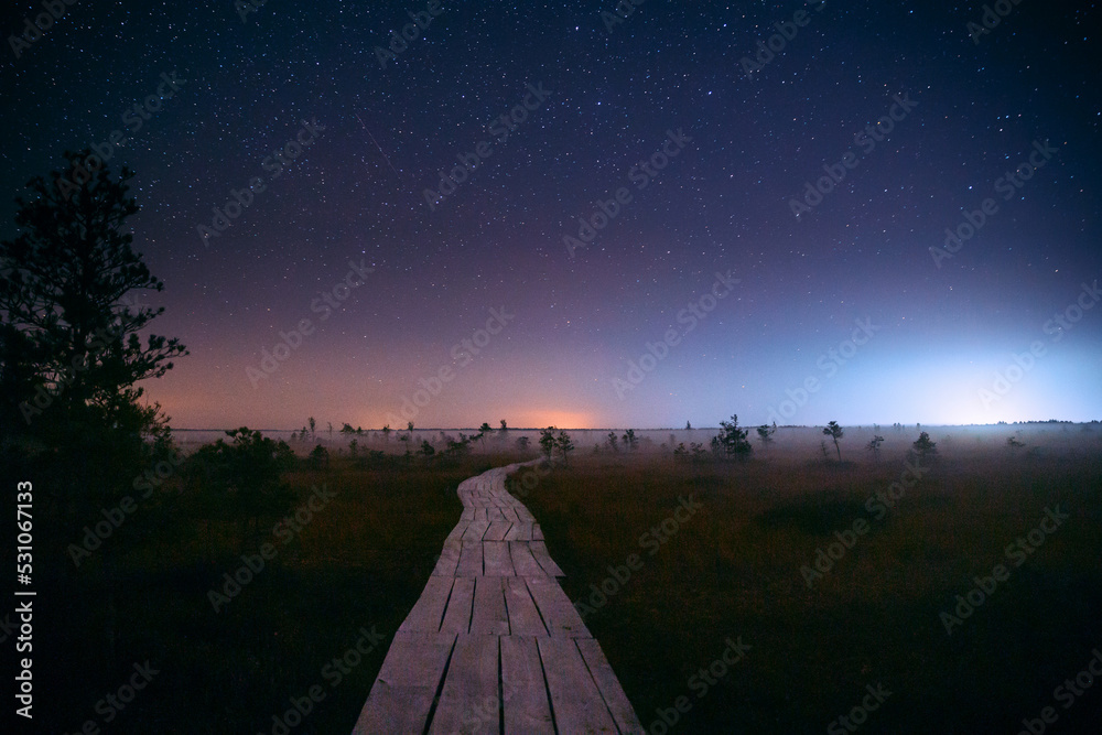 穿过薄雾沼泽的小径上方的真正彩色夜星。上方令人惊叹的发光恒星效果