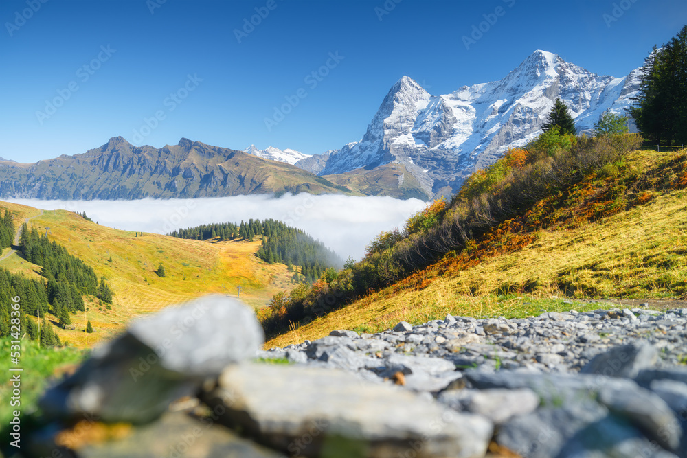 山峰、森林和草地。山脉和晴朗的蓝天。瑞士夏季风景