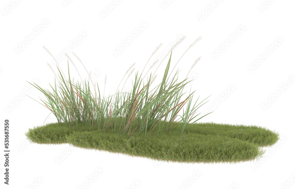 透明背景上的草地。三维渲染-插图