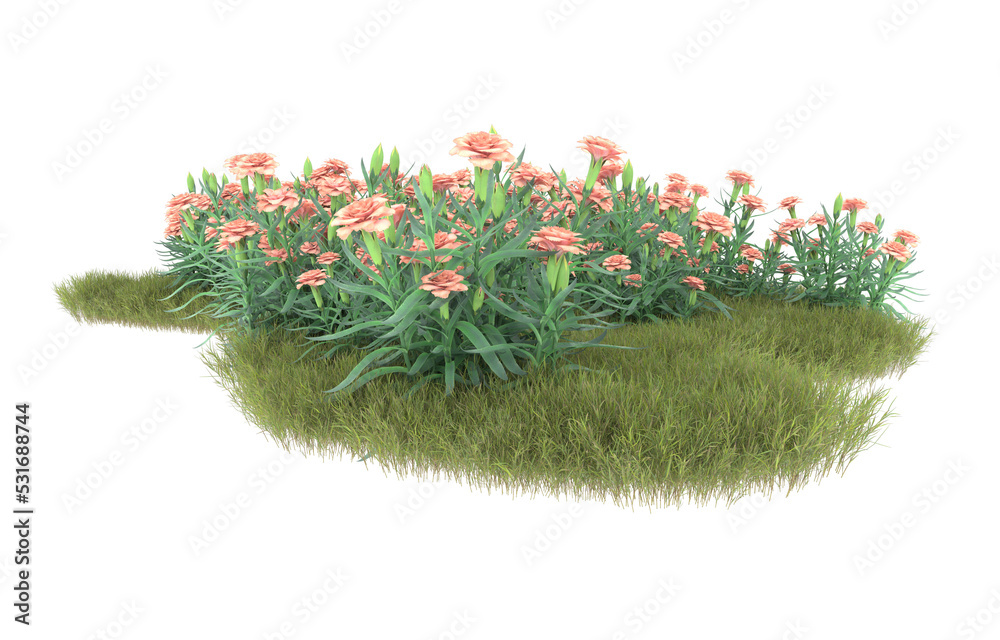 透明背景上的草地。三维渲染-插图