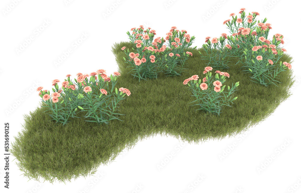 透明背景上的草。3d渲染-插图