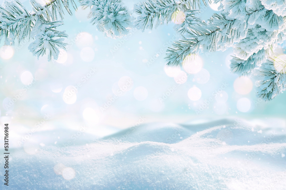 美丽的冬季背景图像，霜冻的云杉树枝和与博克一起的小积雪