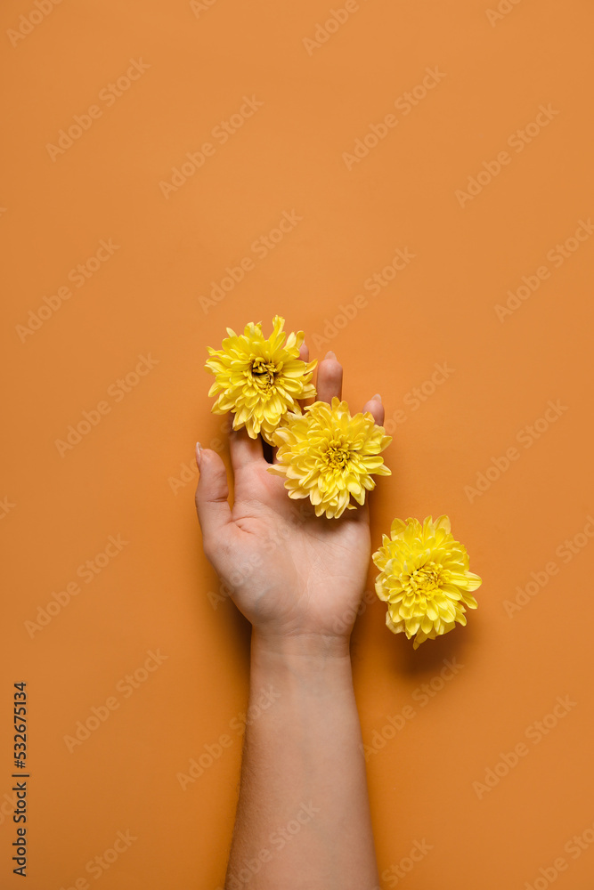 橙色背景下的雌手和黄色菊花