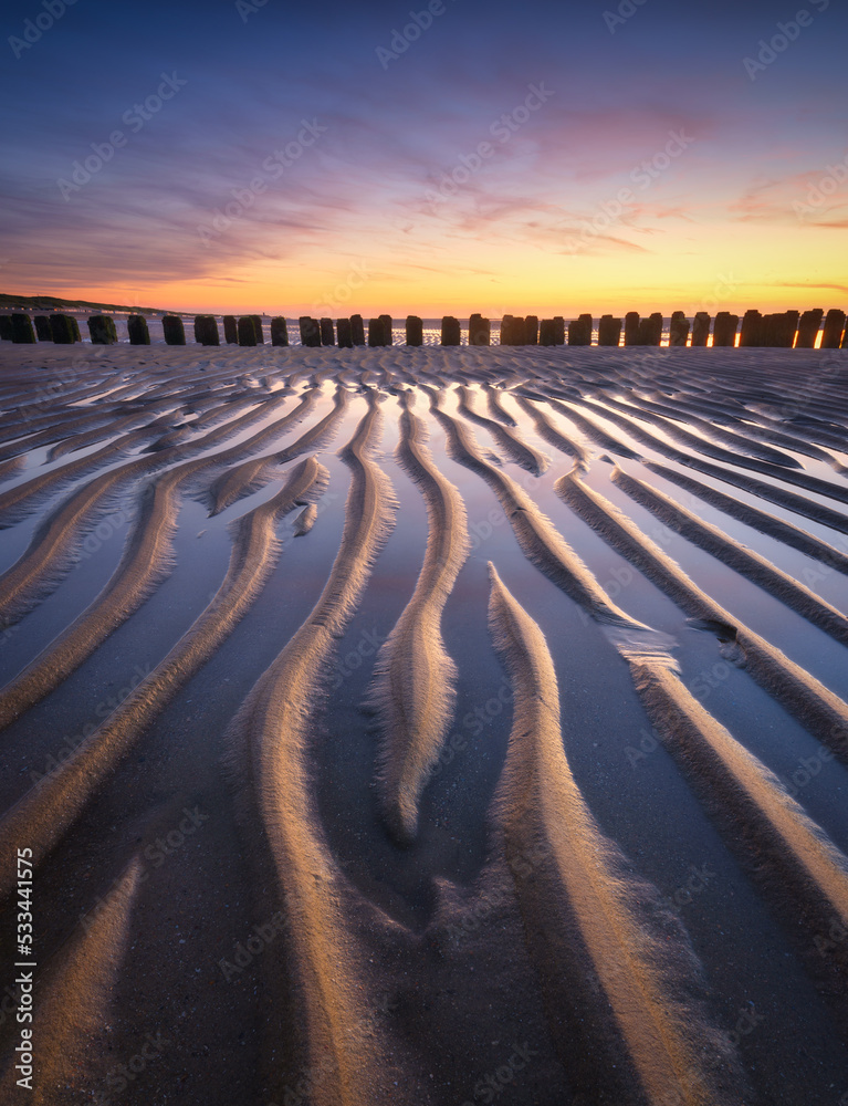 日落时的海景。海岸上的一排排沙子。日落时明亮的天空
1247579602,花卉标志设计图标矢量