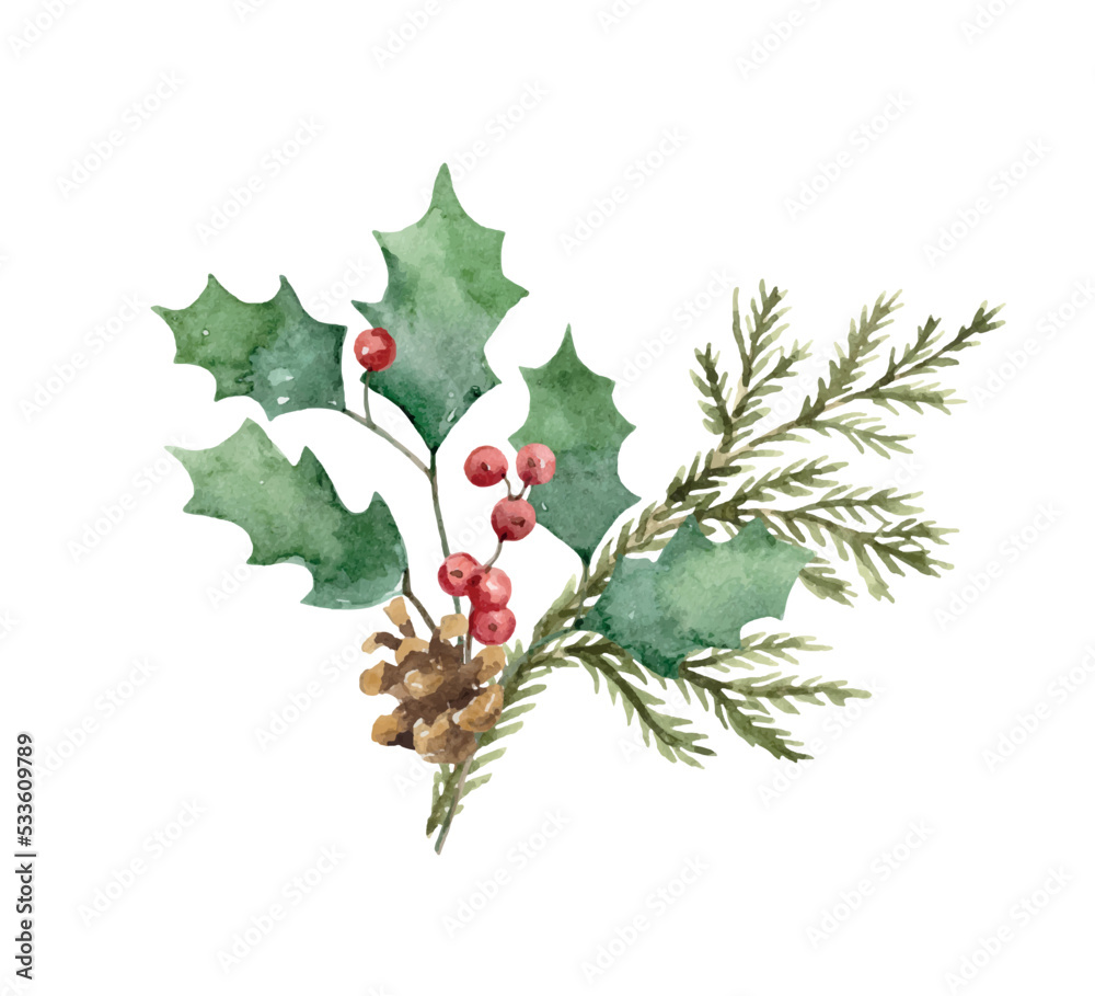 水彩矢量圣诞布置，有云杉树枝、圆锥形和冬青树枝。