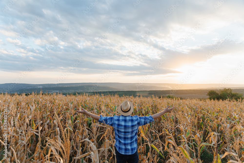 仰视图一位年轻的农民举起双手，站在一块种着玉米的地里。