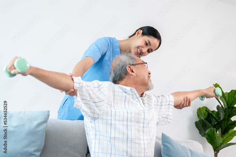 满足于在护理人员的帮助下进行物理治疗的老年患者。老年物理治疗师