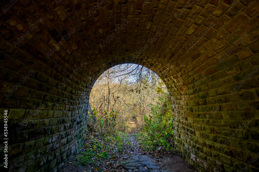 秋天森林中的神秘石头隧道