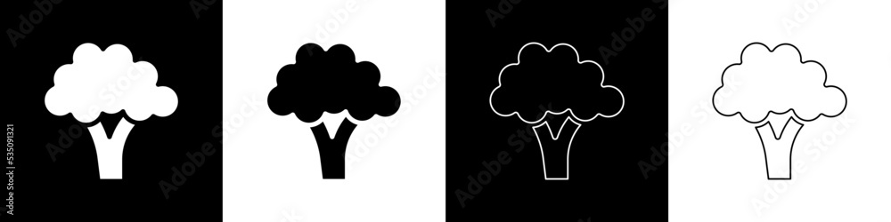 Set Broccoli icon isolated on black and white background. Vector