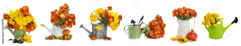 菊花拼贴，白色背景上有橡胶靴、水罐和园艺工具