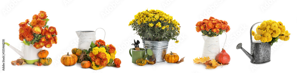 菊花拼贴，配橡胶靴、喷壶、水果和园艺工具