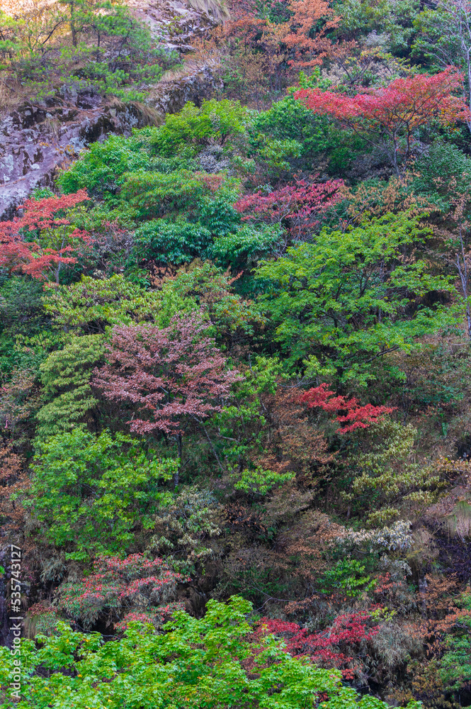 中国江西萍乡武功山自然风景区的初秋景色