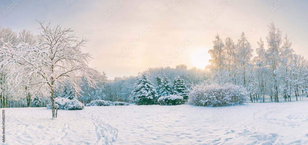 冬季白雪皑皑的城市公园的美丽自然全景，有落叶树、冷杉和雪堆