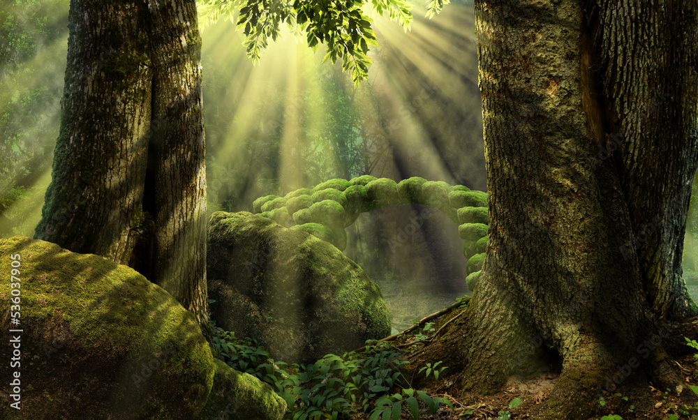 梦幻森林景观，树木、长满苔藓的岩石和树叶之间的阳光下有古老的石桥