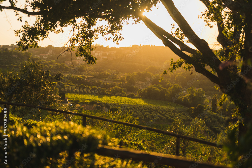 日落时分，意大利托斯卡纳的葡萄酒田和花园里开着薰衣草花